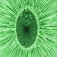 thumbnail image 1 of Ahgly Company Tapis d'Intérieur Lavable en Machine Carré Vert Transitionnel, 4 Pieds Carré, 1 of 7