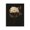 Dark Fall Wildflower Painting, variant on Stupell Industries French Country Dark Fall Flower Black Floating Frame Canvas Art, 17 x 21, by Haley Knighten