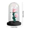 thumbnail image 3 of Preserved Florals Night Light | Mini LED Ambient Lamp | Warm Soft Glow for Home Decor, Bedroom, Desk, Festive Accent | 4.33 x 7.09 in | Eco-Friendly, Battery Operated, 3 of 6
