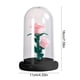 thumbnail image 3 of Luz de Noche con Flores Preservadas | Minilámpara Led Ambiental | Lámpara de Noche con Luz Cálida | Decoración para El Hogar para San Valentín, Cumpleaños y Navidad | Luz de Noche Portátil de Bajo Co, 3 of 6