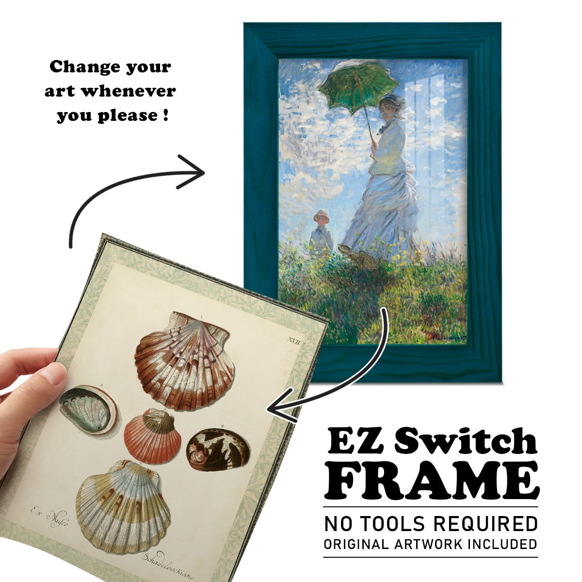 Bookplate Shells III - Framed Print w/glass - Ocean Blue
