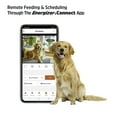 thumbnail image 3 of Energizer Smart Pet Treater, Interactive Pet Treat Dispenser w/ 2K Video Camera & 2-Way Audio, White, 3 of 11