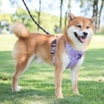 thumbnail image 4 of Deago No Pull Dog Harness Adjustable Reflective Nylon Pet Vest Harnesses Easy Control for Small Medium Large Dogs (Pink, XL), 4 of 12