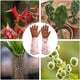 thumbnail image 4 of Guantes de jardinería largos de color marrón para mujeres y hombres, guantes de poda a prueba de espinas de color rosa, guantes de trabajo de jardinería con protección para antebrazos largos con palm, 4 of 5