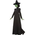 thumbnail image 4 of Smiffys Womens Wicked Witch Costume Set, 4 of 4