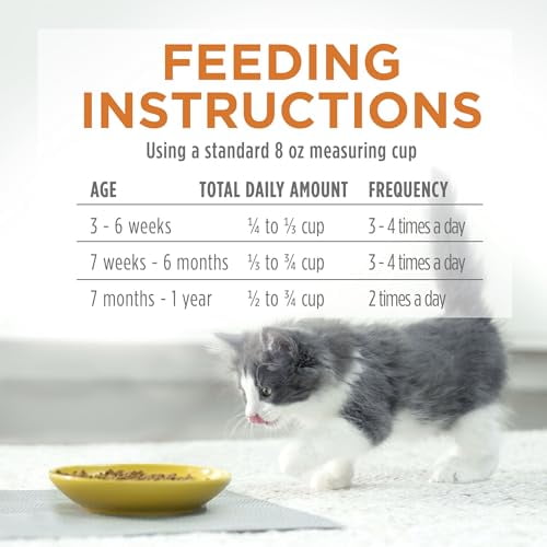 Cat Food What Do Week Old Kittens Eat Cat Food How Often Should I