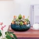 thumbnail image 5 of Herramientas y mejoras para el hogar Cuenco Macetero Cuenco de cerámica para flores Cuenco Cuencos para plantar en agua Macetas para plantas acuáticas en interiores Aplicable a suculentas un cuenco, 5 of 7