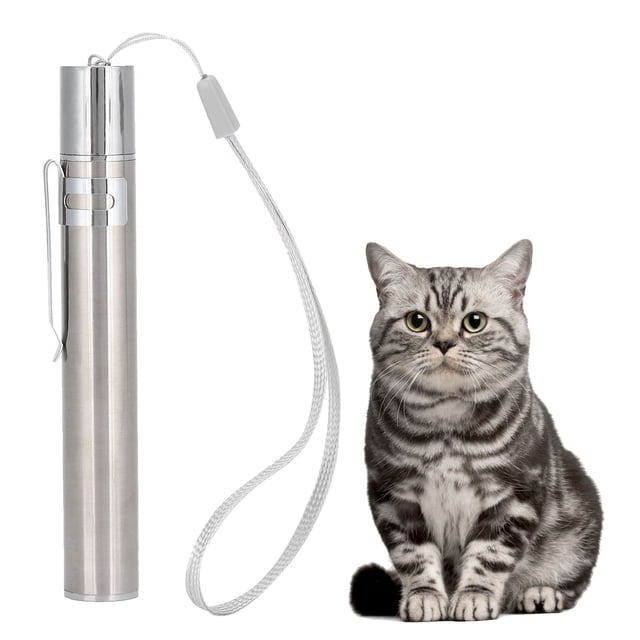 Pen Red/ Light Teasing Cat Pen Pointer USB Rechargeable Stainless Steel Pet Interactive Training Toy