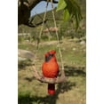 thumbnail image 3 of HANGING CARDINAL ON A BRANCH, 3 of 5