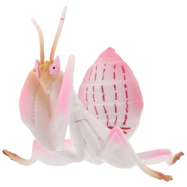 GOOHOCHY Figuras realistas Modelo de simulación Juguetes de insectos Decoraciones de escritorio Bichos de plástico para niños
