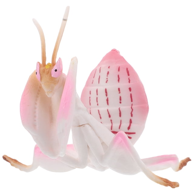 GOOHOCHY Figuras realistas Modelo de simulación Juguetes de insectos Decoraciones de escritorio Bichos de plástico para niños