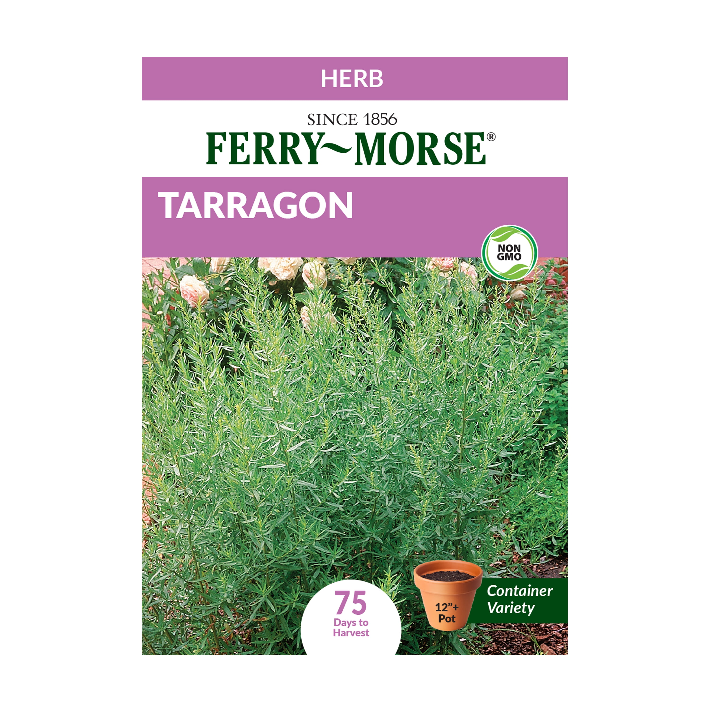 FerryMorse 13.5MG Tarragon Herb Plant Seeds (1 Pack) Seed Gardening
