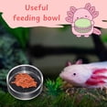 thumbnail image 6 of ABEL CRAFTS Axolotl Tank Décor Large Hideout Aquatic Habitat Aquarium Plant Decoration Bundle, with Accessories Included, Clear, 4 Count, 6 of 7