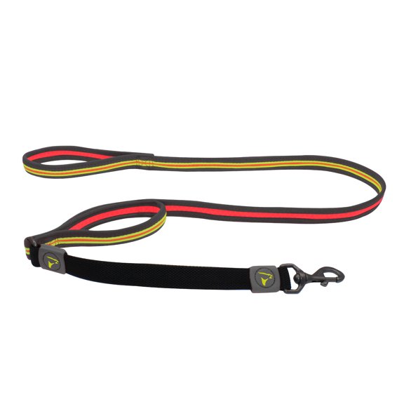 DOCO Solar Shock Absorbing Reflective Mesh Bungee Leash with Double, Traffic Handle for Walking and Training of Small, Medium and Large Dogs