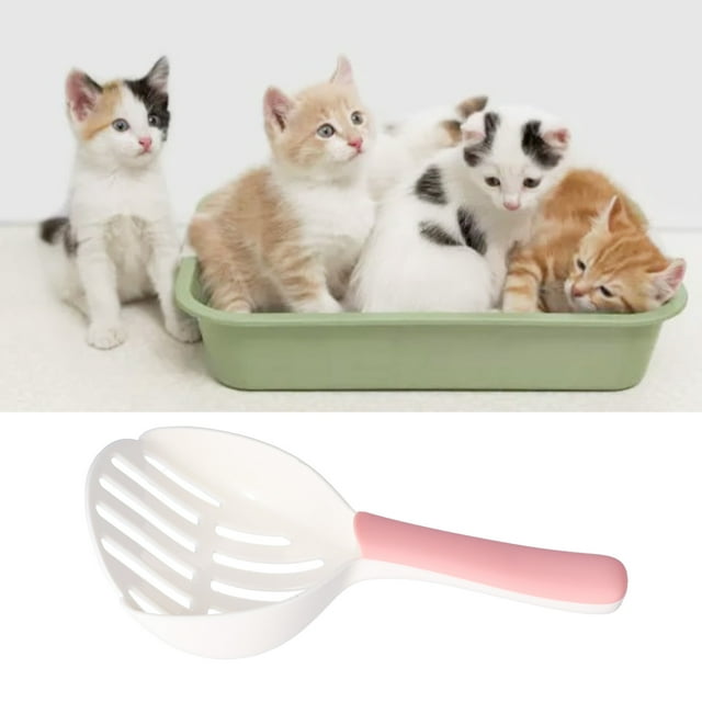 Recogedor De Para Gatos, Diseño De Punta De Pala De Plástico Para Para Gatos, Café Para Mascotas, Gatos, Gatos Divertidos Al Aire Libre, Tienda De Mascotas, Gatos