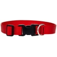 thumbnail image 1 of Collar para perros LupinePet Basics rojo de 1 pulgada, ajustable de 12 a 20 pulgadas, 1 of 2