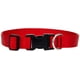 thumbnail image 1 of Collar para perros LupinePet Basics rojo de 1 pulgada, ajustable de 12 a 20 pulgadas, 1 of 2