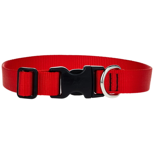 Collar para perros LupinePet Basics rojo de 1 pulgada, ajustable de 12 a 20 pulgadas