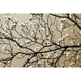 thumbnail image 3 of Hausenflock, Alan 18x13 Black Modern Framed Museum Art Print Titled - Dogwood I, 3 of 5