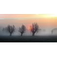 thumbnail image 2 of Flour, Piet 32x18 White Modern Wood Framed Museum Art Print Titled - The Shadow Of Time, 2 of 4