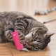 thumbnail image 2 of Juguete Dientes Gato Moler Juguetes Interactivos Fancy Mascota Garras Juguetes para Mascotas, 2 of 2