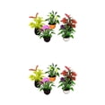 thumbnail image 1 of 2x 5 uds Mini jardín flores planta casa de muñecas miniaturas accesorios, 1 of 9