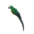 thumbnail image 3 of Xinyolin 25/35cm Handmade Parrot Animal Bird Lawn Figurine Ornament Yard Garden Decor, 3 of 6