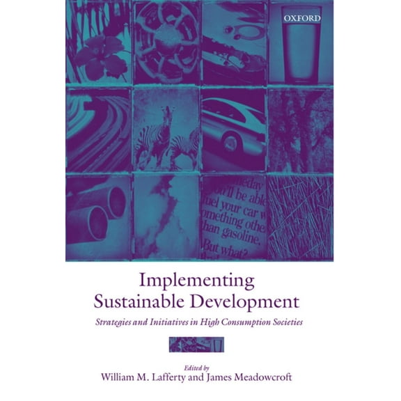 Implementing Sustainable Development: Strategies and Initiatives in High Consumption Societies, (Paperback)
