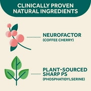 Neuriva Original Brain Health Supplement (30 count), Brain Support With Clinically Tested Natural Ingredients (Coffee Cherry & Plant Sourced Phosphatidylserine), 3 Pack
