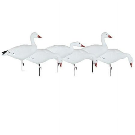 Dakota Decoy Migration Series Snow Goose Decoys Mixed 6 Pack