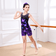 thumbnail image 3 of Aideaone Girls 2 Pack Gymnastics Leotards with Matching Scrunchies Sparkly Biketards 4-10Y, 3 of 7