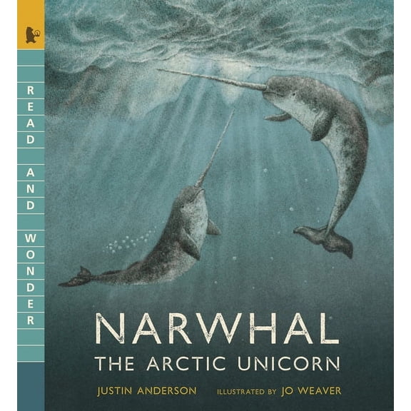 Read and Wonder Narwhal: The Arctic Unicorn: Read and Wonder, (Paperback)