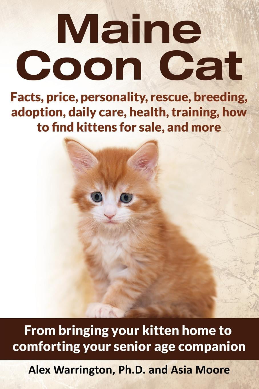 Maine Coon Cat From Bringing Your Kitten Home To Comforting Your Senior Age Companion Paperback Walmartcom