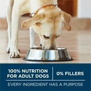 Purina One +Plus Dry Dog Food for Large Adult Dogs High Protein, Real Chicken, 16.5 lb Bag
