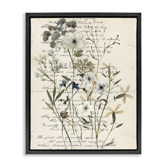 Stupell Industries Vintage Pressed Flowers Plants & Flowers Painting Black Floater Framed Canvas Art Print Wall Art, 17 x 21