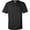 Black, variant on Jackie Eagle Shirt, California Big Bald Eagle Tribute T-Shirt, Jackie Memorial Shirt