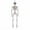 White, variant on Diceymbol Halloween Outdoor Decor Skeleton Full Size Outdoor Skeleton Mini Plastic Skeleton Bones Skeleton Figure Decorative Skulls Kitchen Decor Halloween Skeleton Plastic Human Skull Pendant