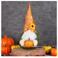 thumbnail image 1 of 1 pieza de muñeco de calabaza de cosecha de Acción de Gracias, muñeco sin rostro, adorno enano de Rudolph de otoño (estilo 1) Excelente Rendimiento, 1 of 5