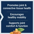 thumbnail image 5 of Life Extension ArthroMax® Advanced NT2 Collagen™ & AprèsFlex®, glucosamine sulfate, Boswellia (Indian frankincense), joint health, mobility, gluten-free, non-GMO, 60 capsules, 5 of 12