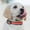 Usb Solar Charging Light Collar Under $5 a14, variant on Uscallm Usb Solar Charging Light Collar, Usb Rechargeable Solar Powered Dog Collar, Nighttime Safety Illuminated Pet Leash, High Visibility Reflective LED Collar