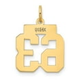 thumbnail image 2 of Auriga 14K Yellow Gold Polished Number 63 Charm for Women, 2 of 6