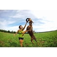 thumbnail image 2 of Frisbee Chuckit! Zipflight Flyer Naranja Flotante Mediano para Perro, 2 of 8