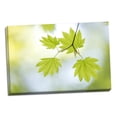thumbnail image 2 of Gango Home Decor Vine Maple II by Kathy Mahan (Ready to Hang); One 36x24in Hand-Stretched Canvas, 2 of 4