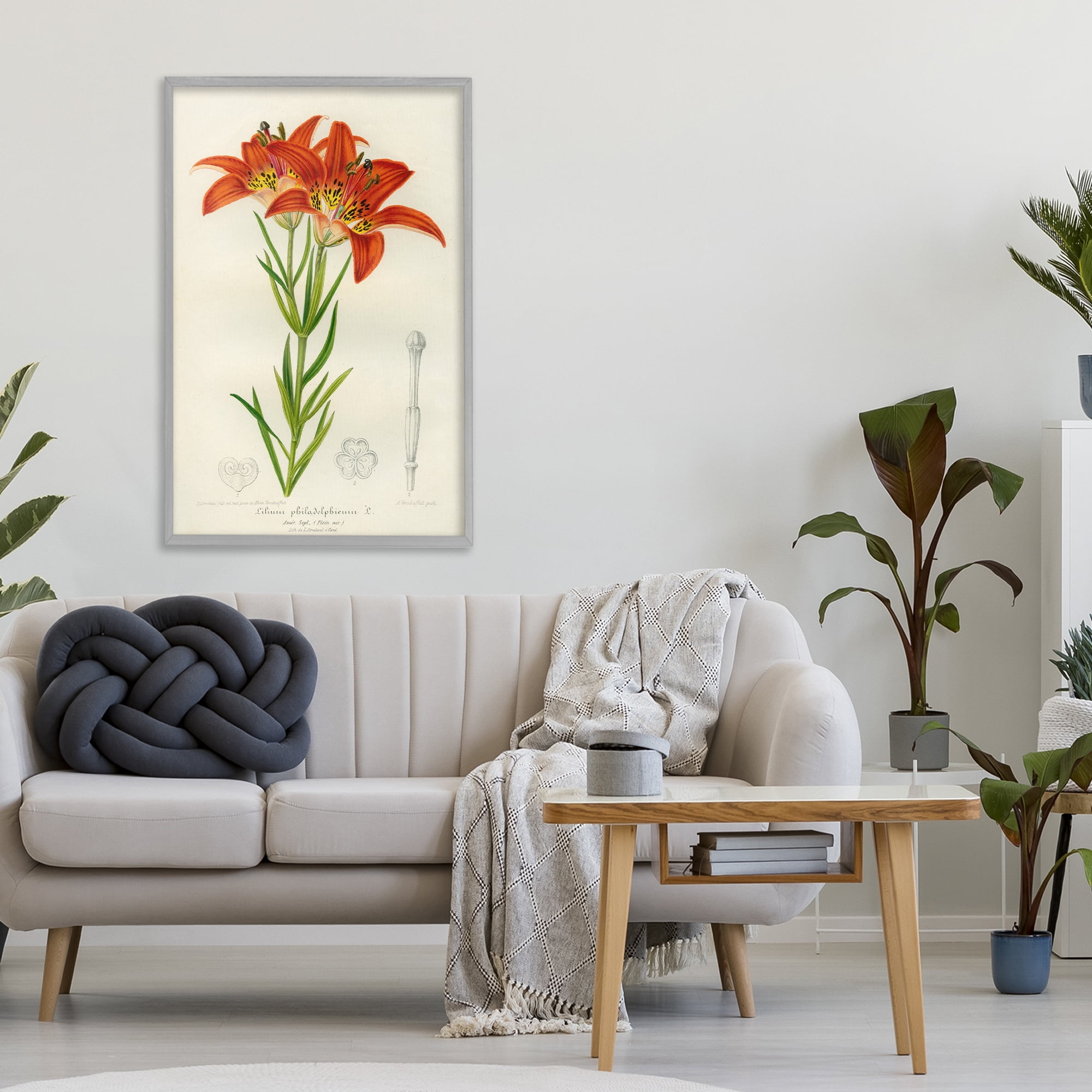 Stupell Industries Western Red Lily Gray Framed Giclee Art, design by Print Collection