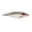 Other, variant on Nomad Design Madscad 95/115 Sinking Stickbait/Twitchbait