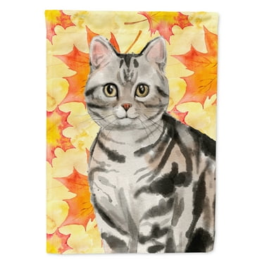 Carolines Treasures CK3074CHF American Shorthair Fall Leaves Flag Canvas House Size  Large multicolor