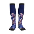 thumbnail image 3 of Compression Socks for Women and Men - Night Sky Winged French Bulldog Compression Socks Circulation for Workout, 3 of 8