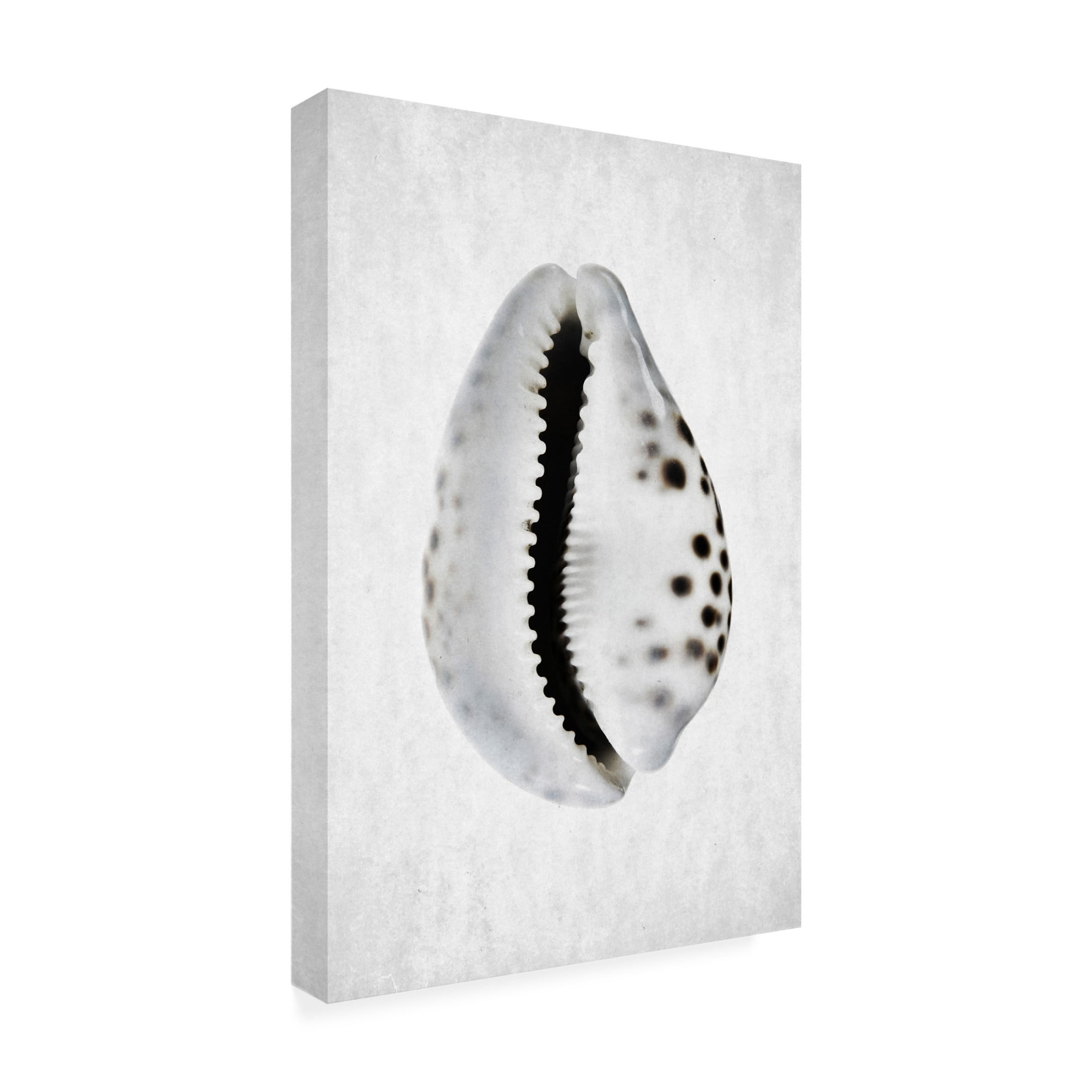 Trademark Fine Art Shot by Clint Spring Tide 01 Canvas Wall Art