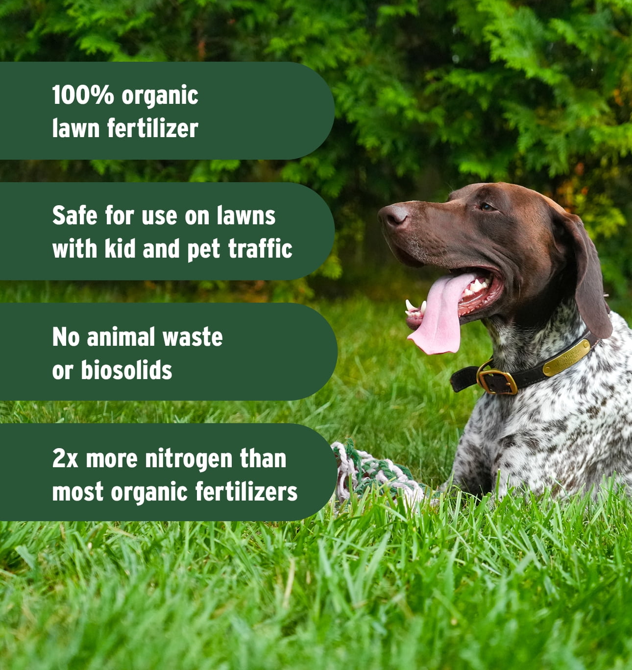 Lawnbox Grass Genie 10-0-6 100% Organic Spring Grass Fertilizer 32 lb Bag Covers 5,000 Sqft