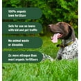 thumbnail image 4 of Lawnbox Grass Genie 100% Organic 10-0-6 Spring Lawn Grass Fertilizer 16 lb Bag, 4 of 7